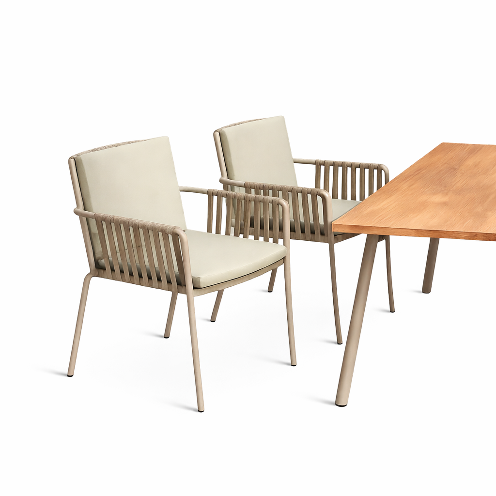 Dining Chair - Görsel 3